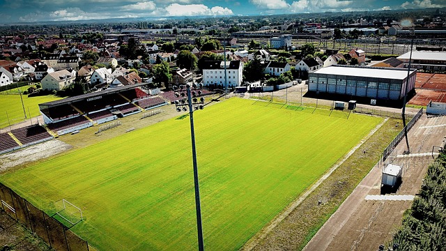 涯的一次重 涯的一次重