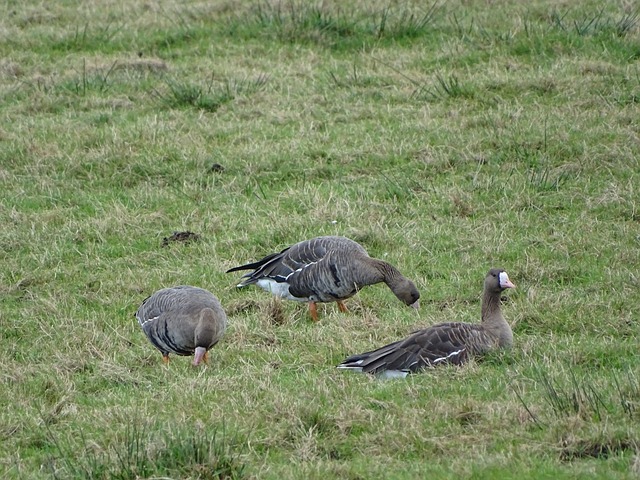 帮助国际足 帮助国际足